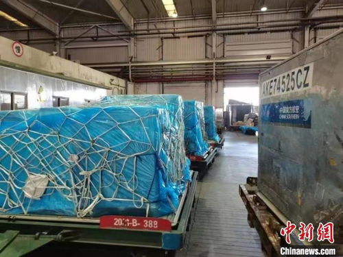 助攻 双十一 航空公司承运货量迎来高峰