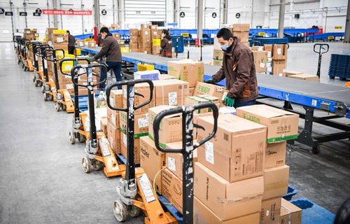 哈尔滨重点物流企业复工率超90%，城市物流动脉强劲复苏
