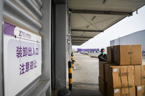 哈尔滨 重点物流企业复工率超90